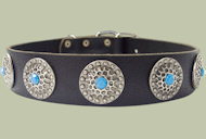 Leather Designer dog collar for ENGLISH BULLDOG Leather Designer dog collar for ENGLISH BULLDOG